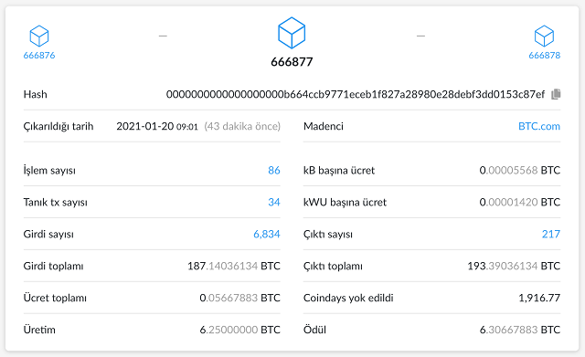 Thông tin về khối 666.877 trong mạng Bitcoin. Nguồn: Blockchair.com