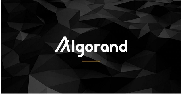 Những đặc điểm nổi bật của mạng lưới Algorand mà bạn nên biết