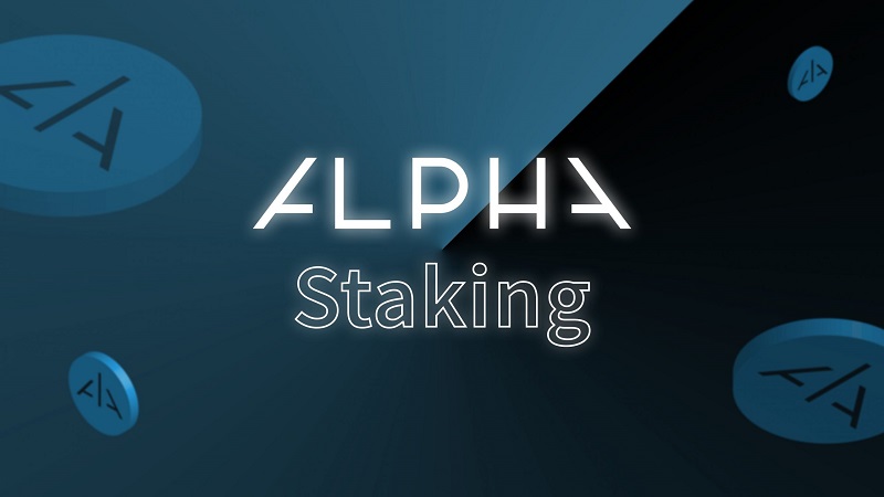 Cần lưu ý điều gì khi tham gia Alpha?