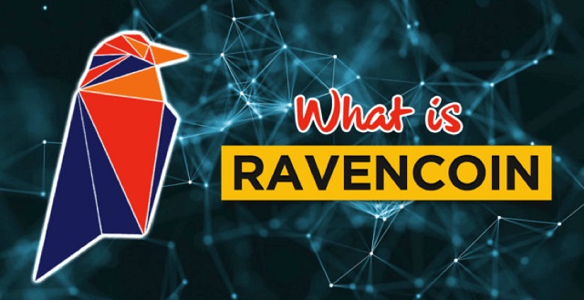 Bạn cần phải tìm hiểu Raven Coin là gì trước khi tham gia đầu tư