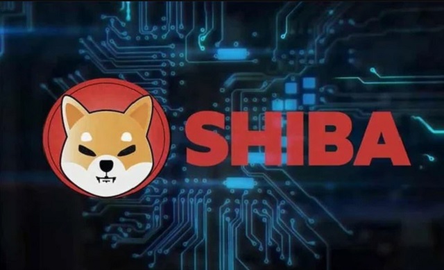 Cách lưu trữ SHIB