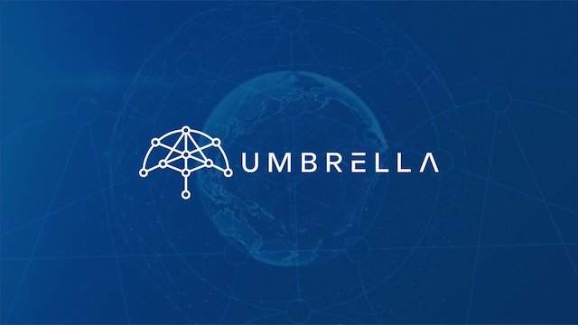 Umbrella đã có sự đột phá với giá trị tăng vượt trội
