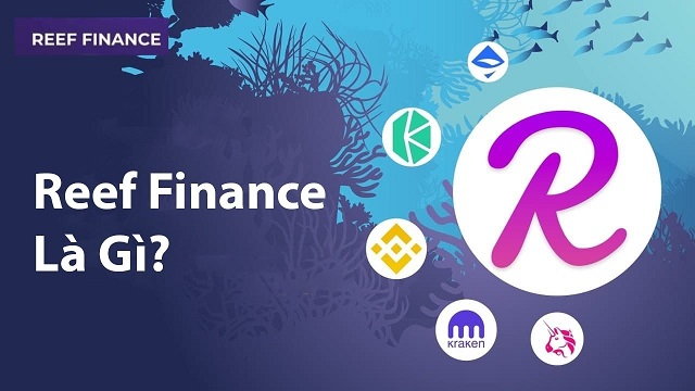 Tìm hiểu Reef Finance và Reef Coin là gì?