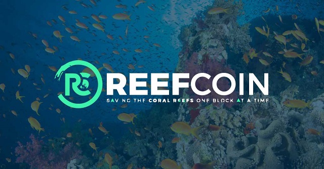 Trong tương lai dự án Reef Finance khá triển vọng cho các nhà đầu tư