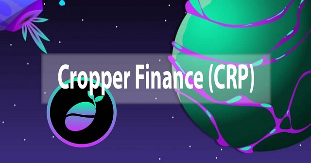 Đặc điểm nổi bật của dự án Cropprt Finance  - CRP