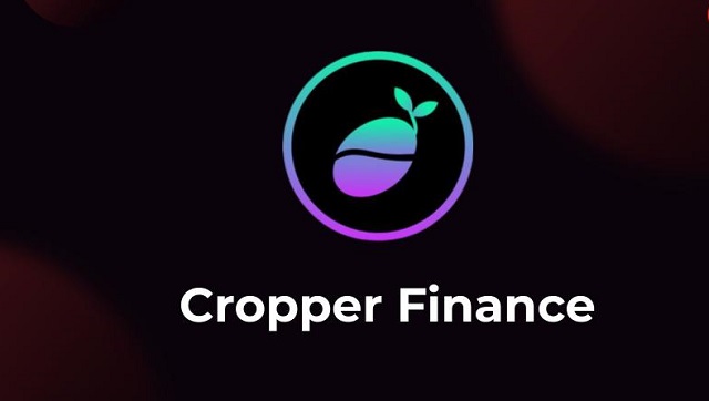 Tiềm năng phát triển của dự án Cropper Finance trong tương lai