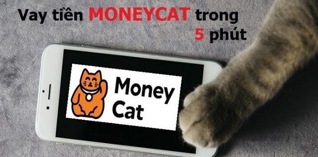 Cho vay trả góp trong vòng 100 ngày tại Moneycat với khoản vay từ 4 tới 10 triệu