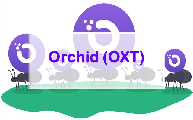 Orchid là một dự án được phát triển bởi Orchid Labs với mục tiêu là tạo ra một thị trường phi tập trung cho dịch vụ VPN