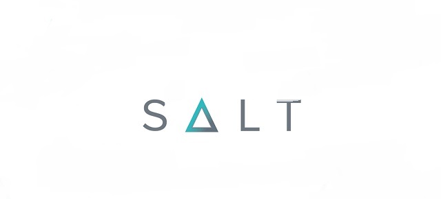 Cách hoạt động của SALT tương đối giống với cách hoạt động của ngân hàng, chỉ khác ở chỗ SALT không yêu cầu người dùng chứng minh lịch sử tín dụng trong sạch