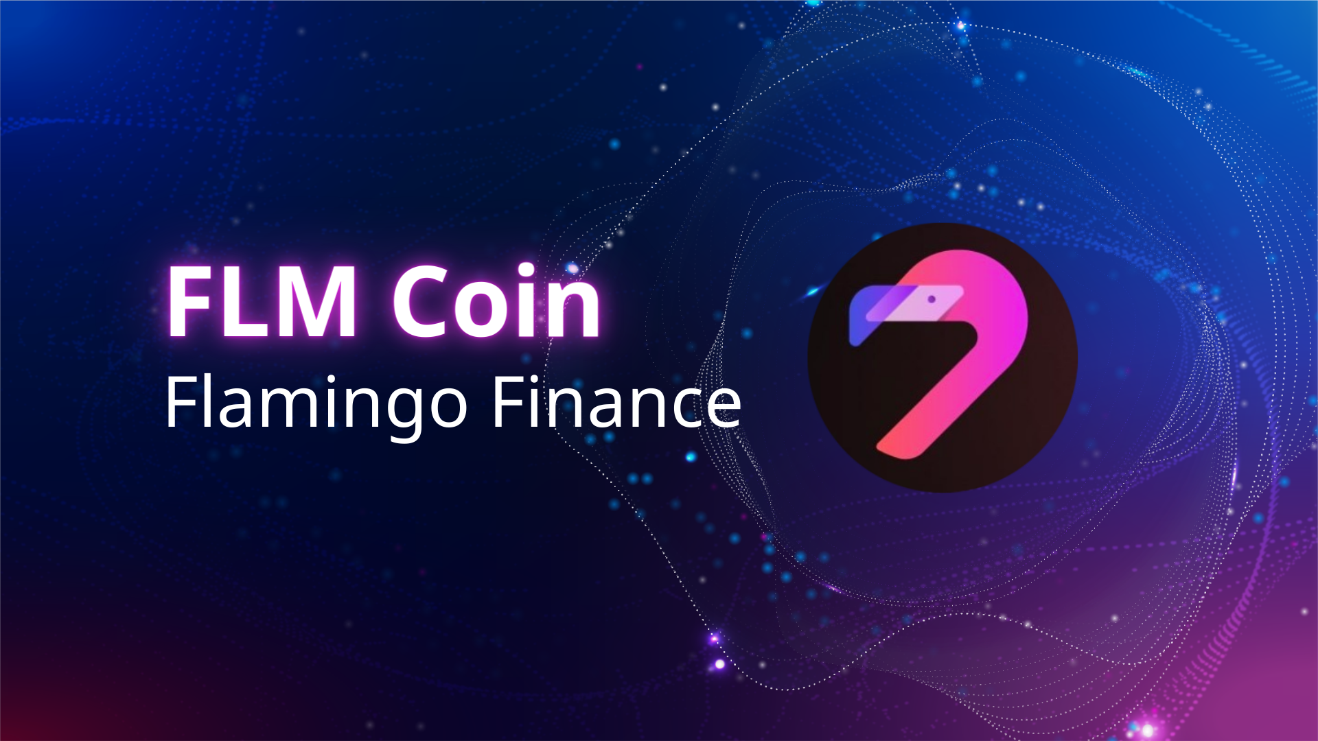 flm coin