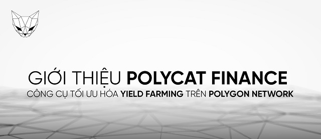 Tìm hiểu Polycat Finance là gì?