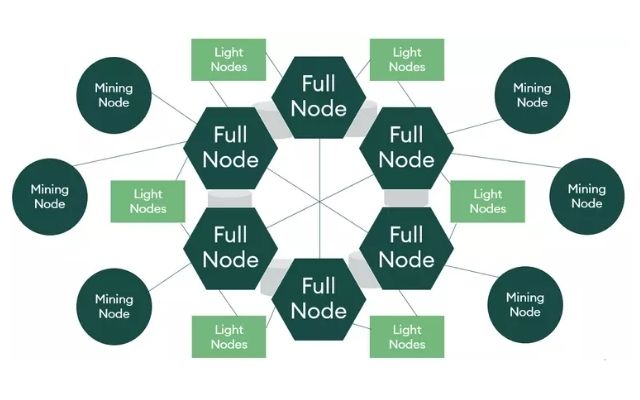 Light nodes cung cấp 1 môi trường hiện có khả năng tương tác cùng với chain