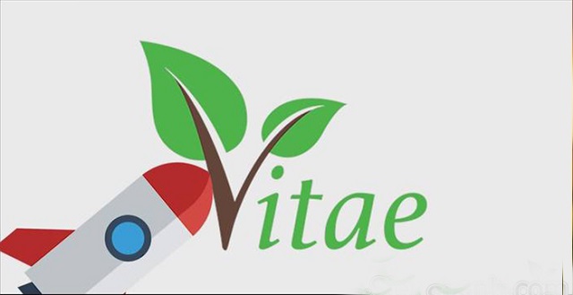 Người dùng có thể kiếm tiền từ mạng Vitae bằng cách tham gia vào mạng xã hội, đăng tải những nội dung thú vị lên trang cá nhân,..