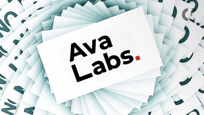 Luật sư Roche phủ nhận những cáo buộc liên quan đến Ava Labs
